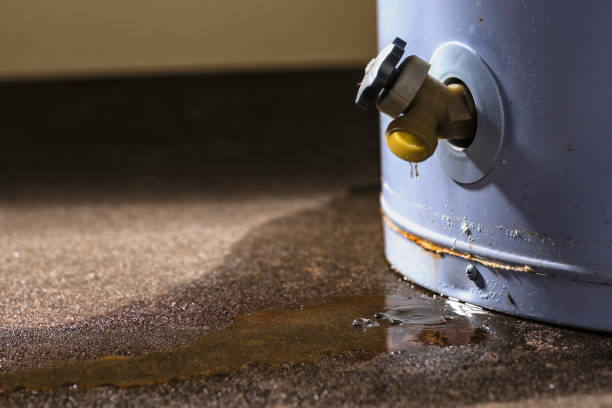 Best Professional water damage repair  in Westlake Corner, VA