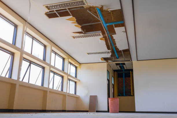 Best Basement water damage restoration  in Westlake Corner, VA