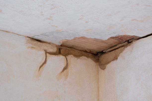 Best 24/7 water damage repair  in Westlake Corner, VA
