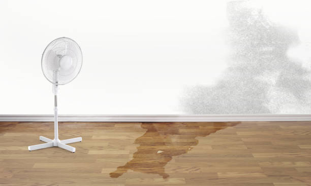 Best Residential water damage restoration  in Westlake Corner, VA