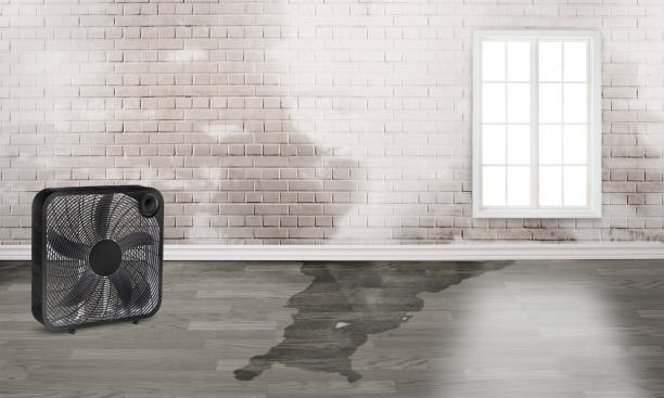 Best Local water damage restoration  in Westlake Corner, VA
