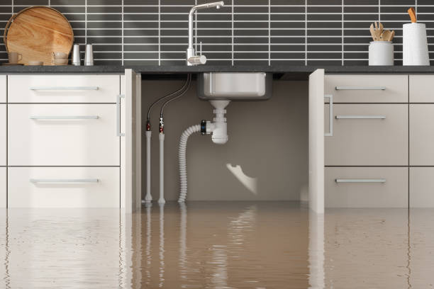 Best Sewage cleanup and water damage restoration  in Westlake Corner, VA